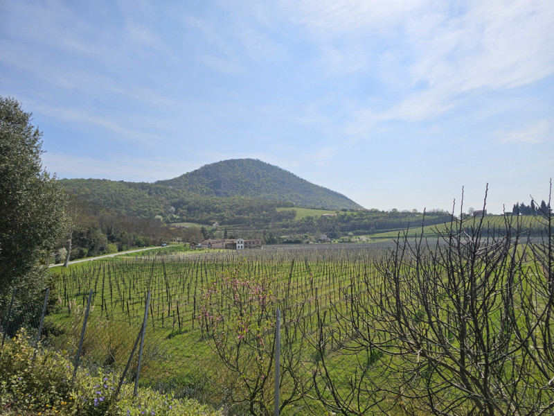 Inserita nell'incantevole cornice dei Colli Euganei, proponiamo in vendita porzione di bifamiliar...