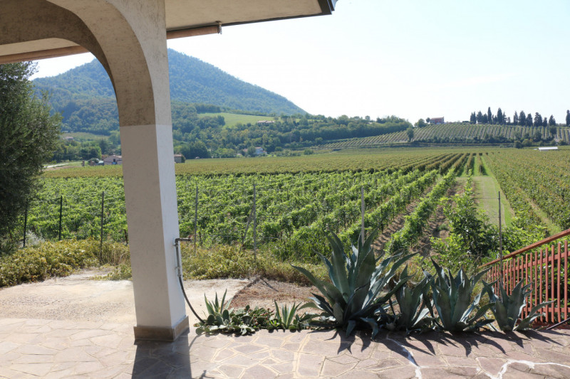 Inserita nell'incantevole cornice dei Colli Euganei, proponiamo in vendita porzione di bifamiliar...