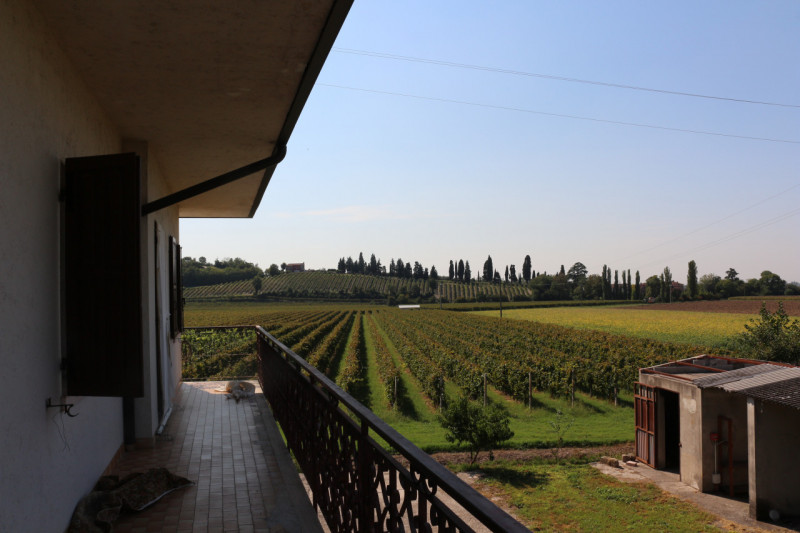 Inserita nell'incantevole cornice dei Colli Euganei, proponiamo in vendita porzione di bifamiliar...