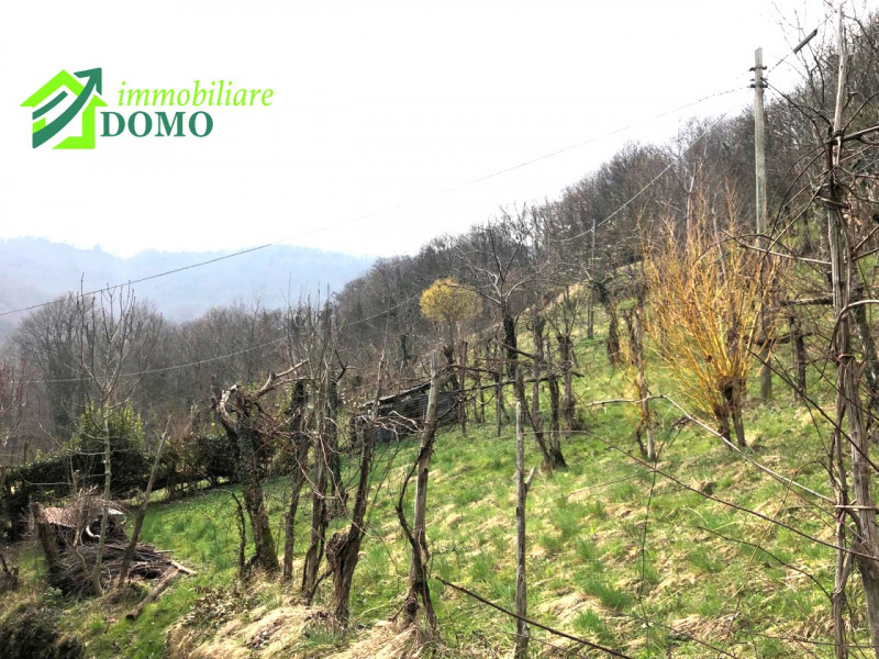VALLI DEL PASUBIO: CASA DI TESTA CON TERRENO € 85.000 info 0445 824740

BUONI MOTIVI PER ACQUISTA...