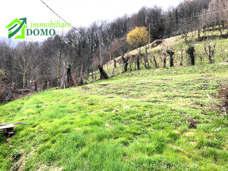 VALLI DEL PASUBIO: CASA DI TESTA CON TERRENO € 85.000 info 0445 824740

BUONI MOTIVI PER ACQUISTA...