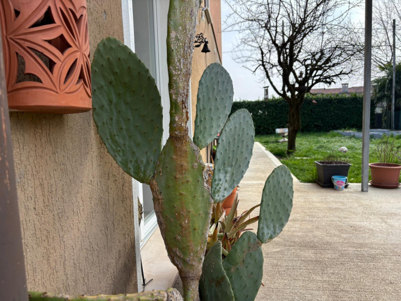 Rif. C352  (Nada 392 6956333)

Se cerchi l’indipendenza e ampi spazi per tutta la famiglia, quest...