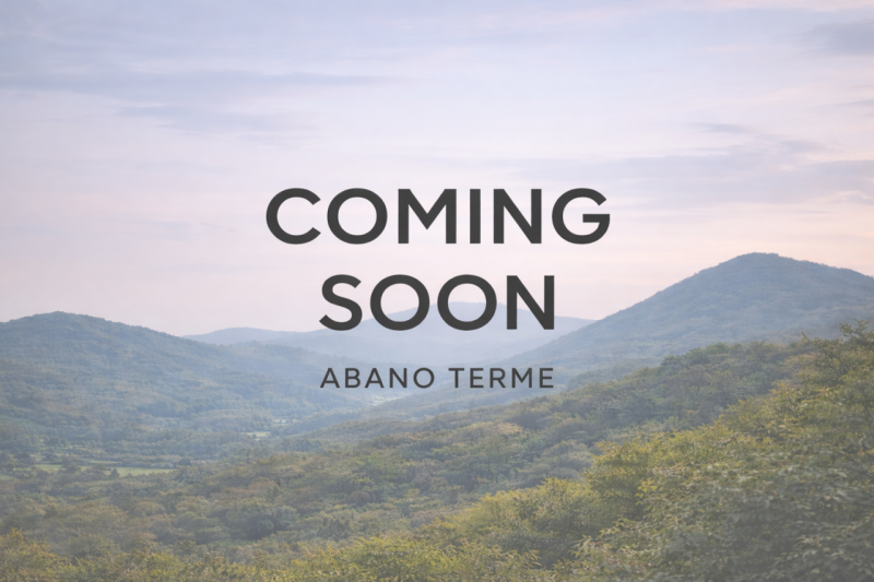 Nel suggestivo quartiere Monterosso di Abano Terme, immersa nel verde e in un contesto residenzia...