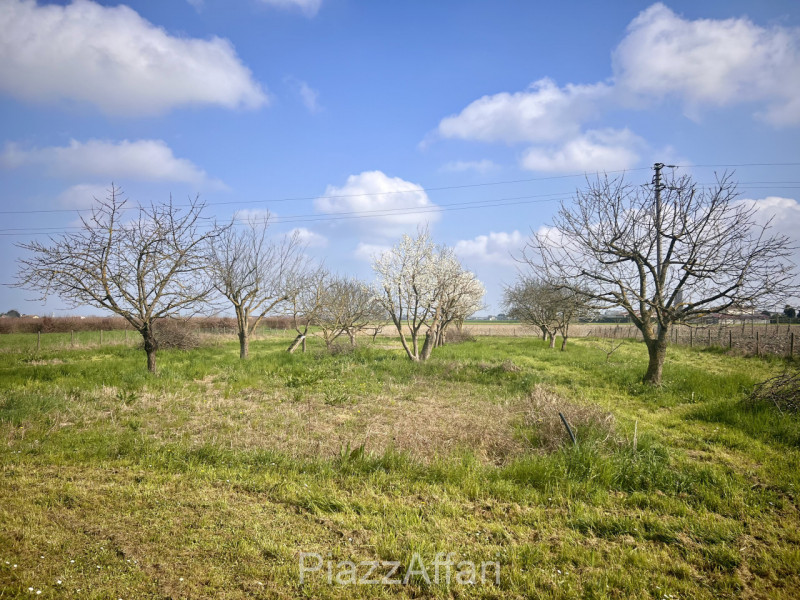 Particolare casa di campagna con piscina ed ampio giardino.

Volutamente non abbiamo ritenuto (co...