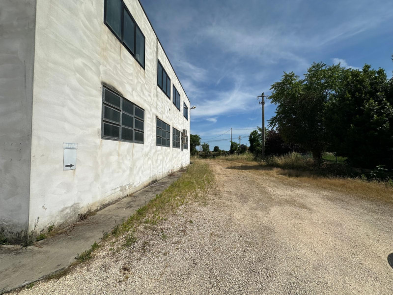 Proponiamo in locazione capannone in zona Monselice, vicino al centro commerciale Airone, di circ...