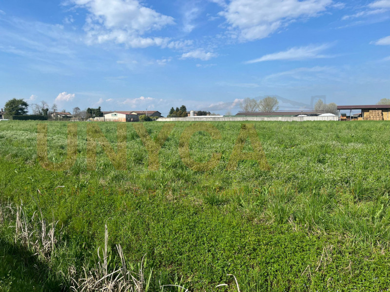 CERVARESE SANTA CROCE: proponiamo in vendita due ampi terreni agricoli per un totale di circa 67....
