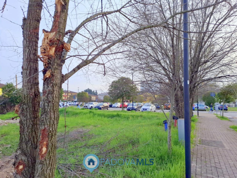 Immobile in esclusiva al Gruppo Padova MLS
MONTEGROTTO TERME – TERRENO EDIFICABILE IN POSIZIONE S...