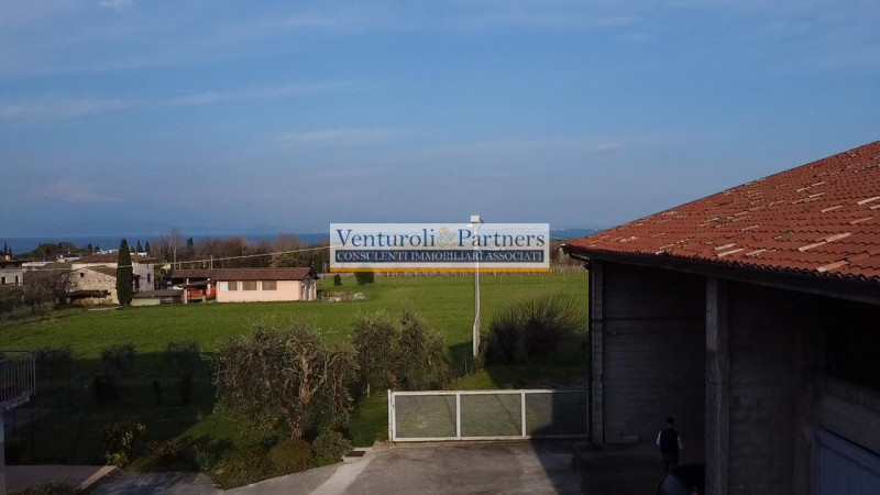 Immagine 7