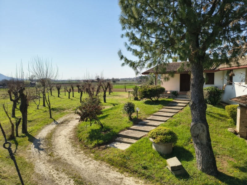 Cerchi la soluzione definitiva per vivere vicino ai tuoi cari, ma ognuno con la propria totale in...