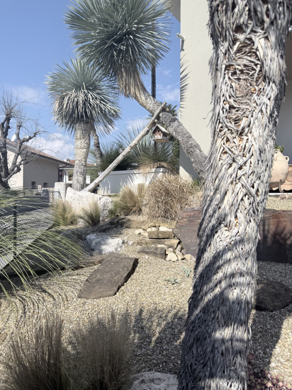 (Per INFO Fabrizio 333 7743912) NOSTRA ESCLUSIVA: A Montebelluna, in frazione di Biadene, in zona...