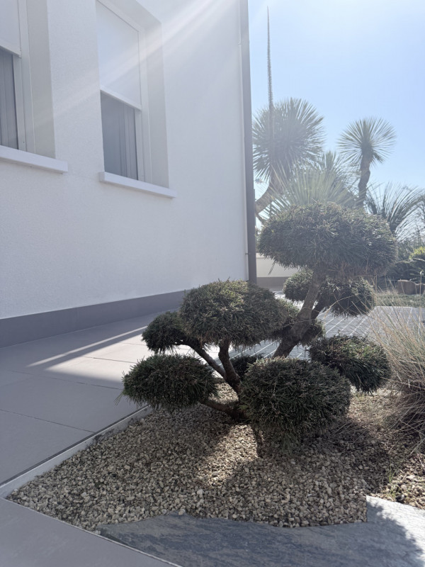 (Per INFO Fabrizio 333 7743912) NOSTRA ESCLUSIVA: A Montebelluna, in frazione di Biadene, in zona...