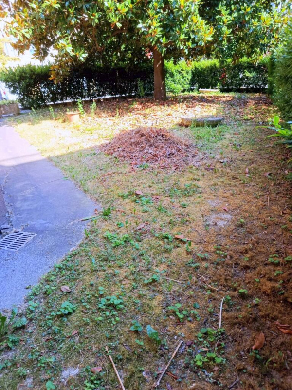 BRUSEGANA - Ampio appartamento con giardino privato 

Scopri il piacere di vivere in una soluzion...