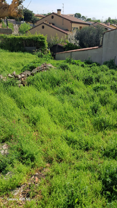 Nella zona più panoramica di Monselice, a pochi minuti dal centro storico e da tutti i principali...