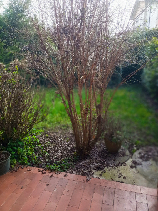 Scopri questa straordinaria opportunità di acquistare una casa a schiera centrale situata nella r...