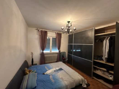 Rif. A.A.240-24

Vendita all'asta - bifamiliare al piano terra con cantina in data 05 maggio 2026...