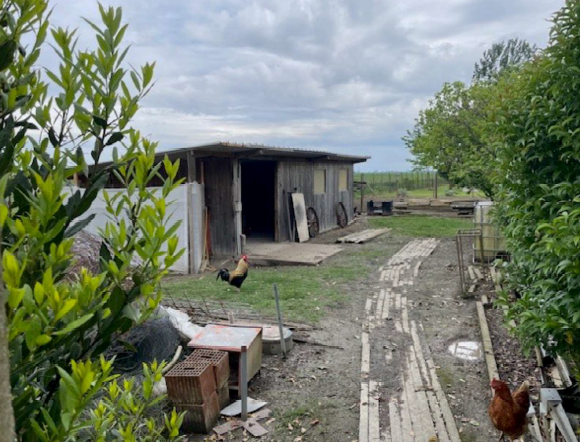 Rif. A.A.06-24

Vendita all'asta - casa unifamiliare su 2 livelli con giardino in data 06 maggio ...