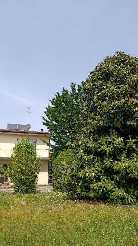 VIGONZA-Perarolo-: nel centro del paese, in una tranquilla zona residenziale con strada chiusa, p...