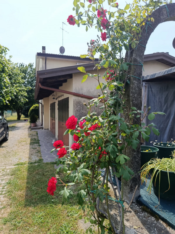 VIGONZA-Perarolo-: nel centro del paese, in una tranquilla zona residenziale con strada chiusa, p...