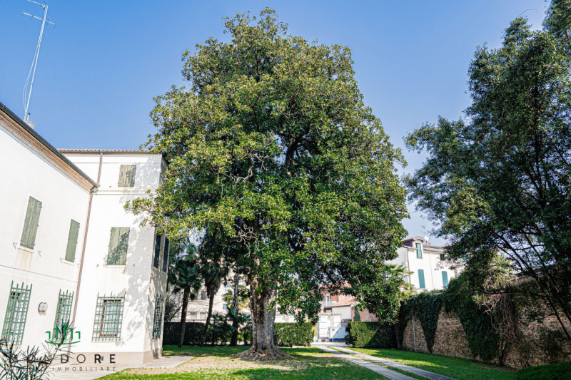 Nel cuore del quartiere Portello nel pieno centro di Padova in particolare nella via Belzoni 65, ...