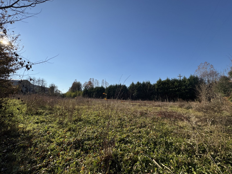 TERRENO IN PARTE EDIFICABILE E IN PARTE AGRICOLO

Trattative riservate Immobiliare Unica Colceres...