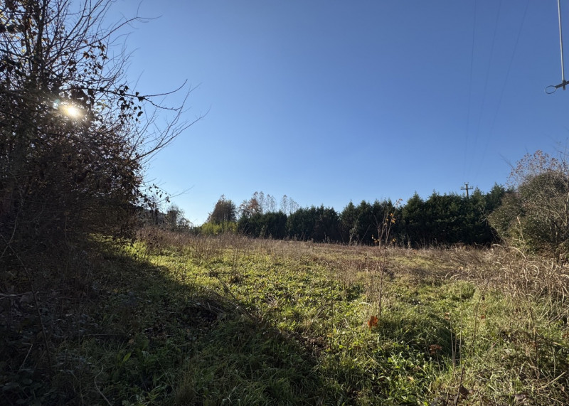 TERRENO IN PARTE EDIFICABILE E IN PARTE AGRICOLO

Trattative riservate Immobiliare Unica Colceres...