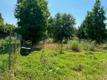 Rif. A.A.45-25

Vendita all'asta - terreni agricoli in data 07 maggio 2026

Descrizione: trattasi...