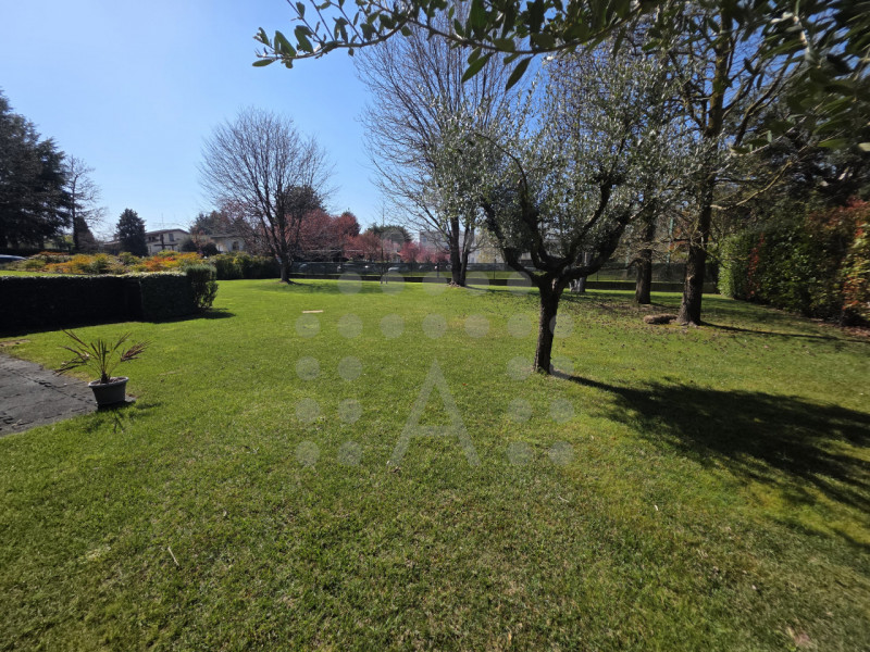 A Tencarola, la villa indipendente con giardino dove dare forma alla casa che hai sempre sognato
...