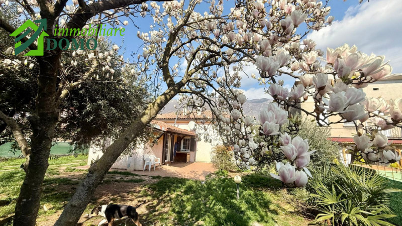 Piovene Rocchette: casa singola con ampio giardino privato €219.000 info 0445 824740

BUONI MOTIV...