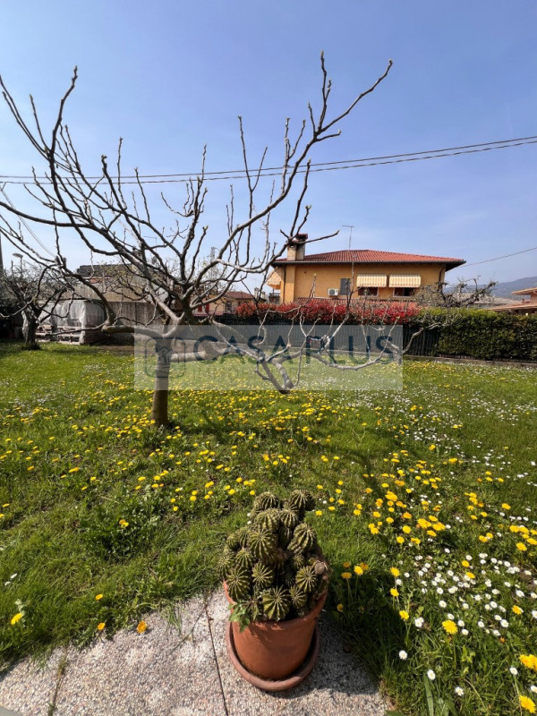 BASSANO DEL GRAPPA: NS ESCLUSIVA

Bassano del Grappa – Ampio appartamento fine anni '70 con due c...