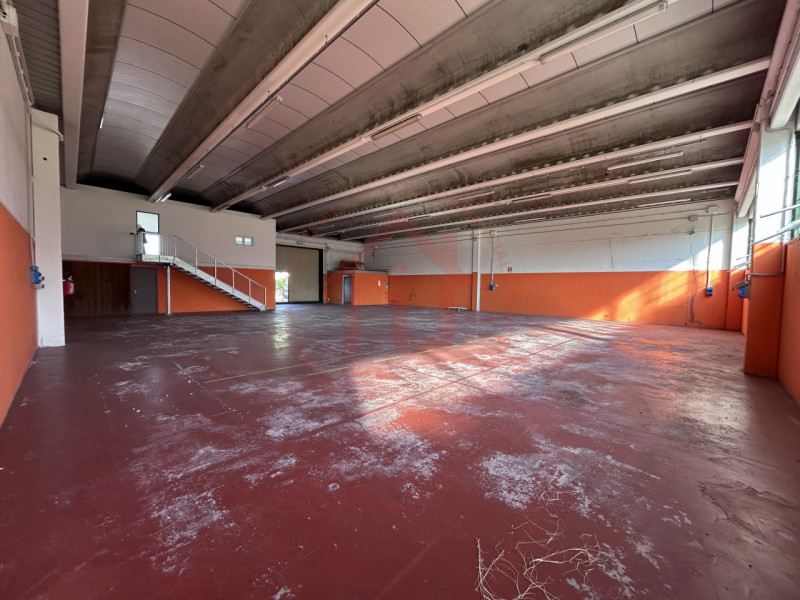 RIF: SR510 VICENZA - MONTEGALDA Proponiamo in locazione capannone produttivo (D/01) di 500 mq con...