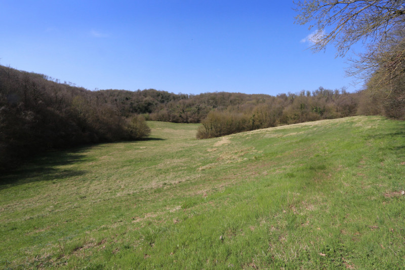 Barbarano Mossano (VI), ci troviamo nella zona di Mossano, Via Monti, dalla strada pubblica si pe...