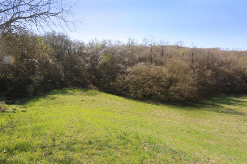 Barbarano Mossano (VI), ci troviamo nella zona di Mossano, Via Monti, dalla strada pubblica si pe...