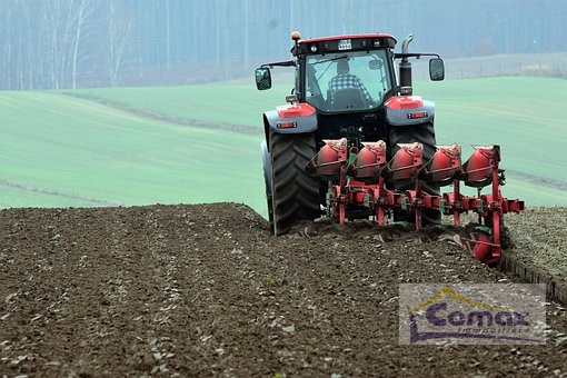 Ariano Nel Polesine- Terreno agricolo a Seminativo, superficie di  31 ettari, con Ricovero Attrez...
