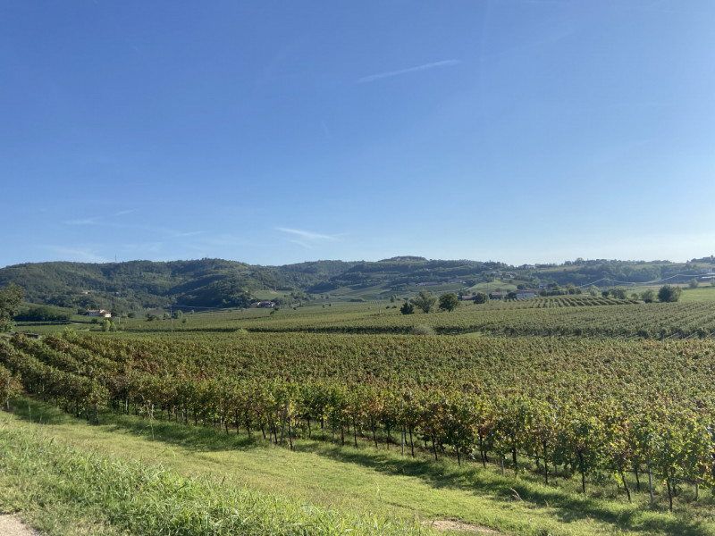 ARCUGNANO - splendida villa unifamiliare appoggiata sul colle di Arcugnano, una delle zone più es...
