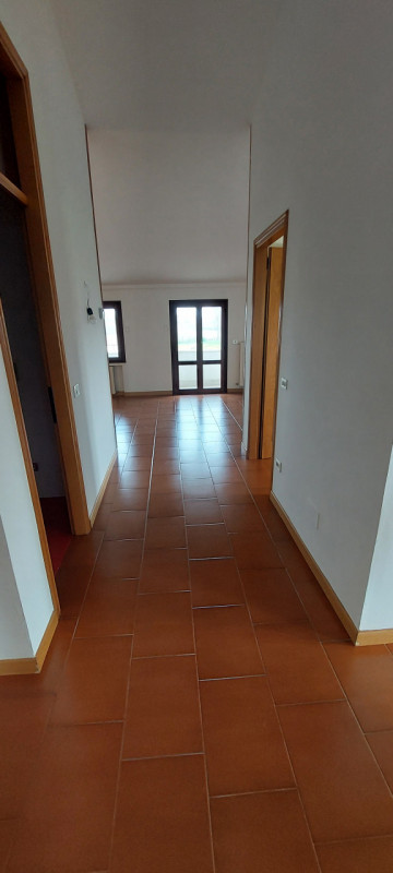 In posizione strategica tra Padova e Cittadella, nel comune di Curtarolo, proponiamo in affitto u...