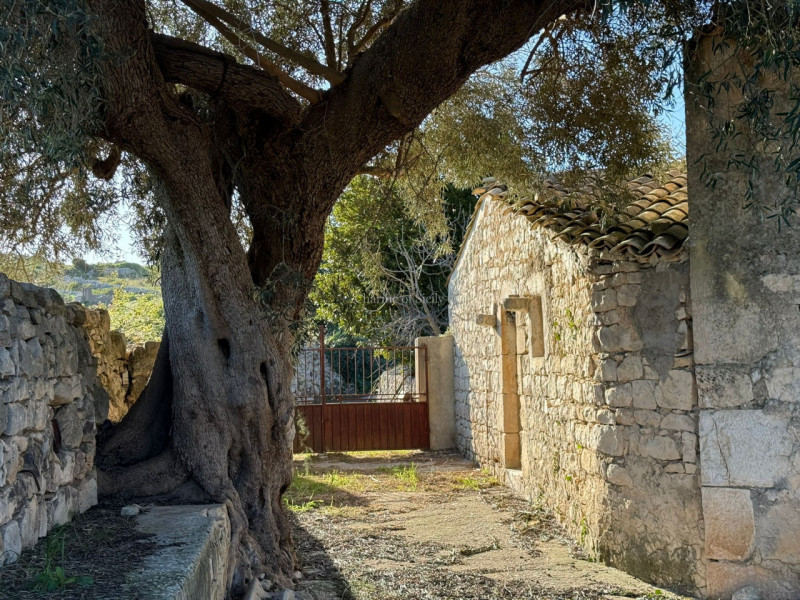 Immagine 2