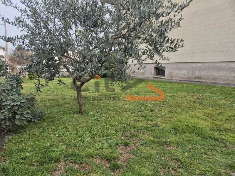 Bassano del Grappa zona Cà Baroncello - In tranquilla zona residenziale, proponiamo in affitto AP...