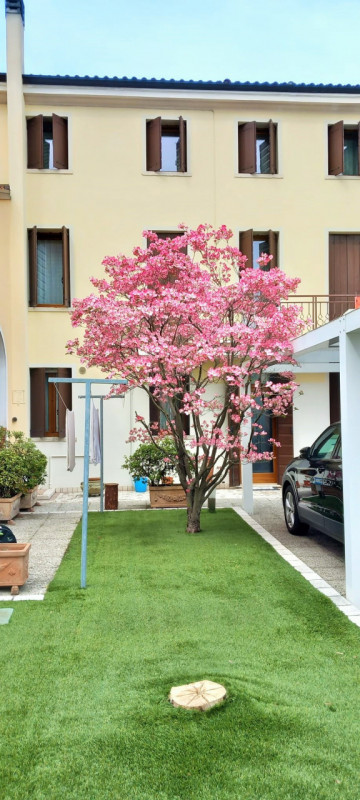 Proponiamo in vendita una signorile e centralissima porzione di palazzo d'epoca affacciata su uno...