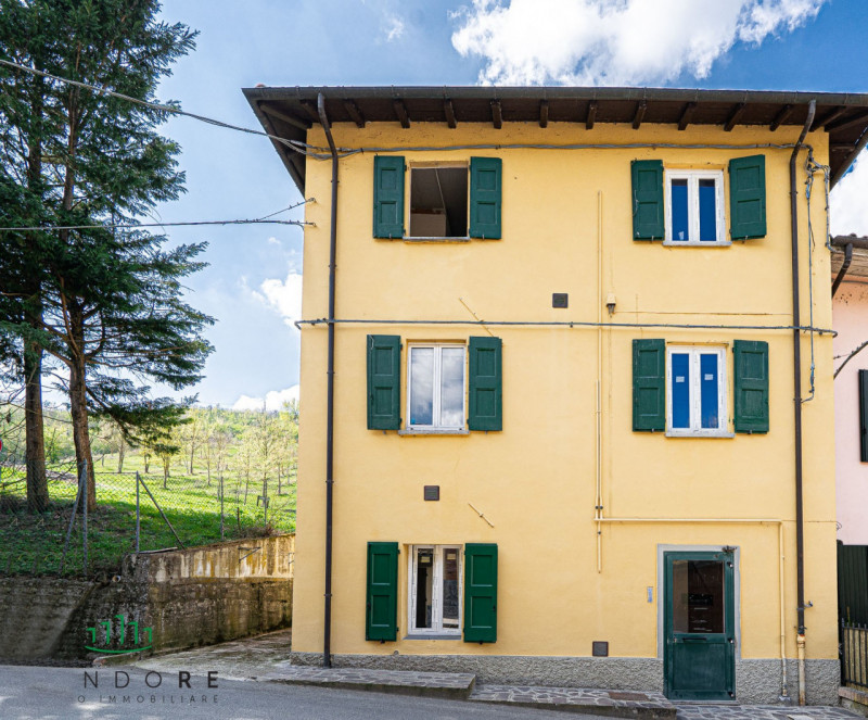 Immagine 2