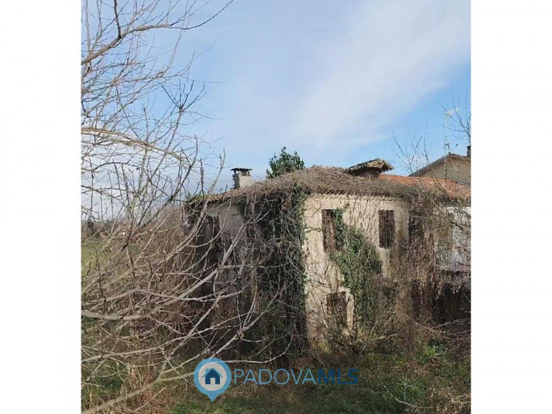 Immobile in esclusiva al Gruppo Padova MLS
Indipendenza e potenziale a TENCAROLA/VOLTABRUSEGANA –...
