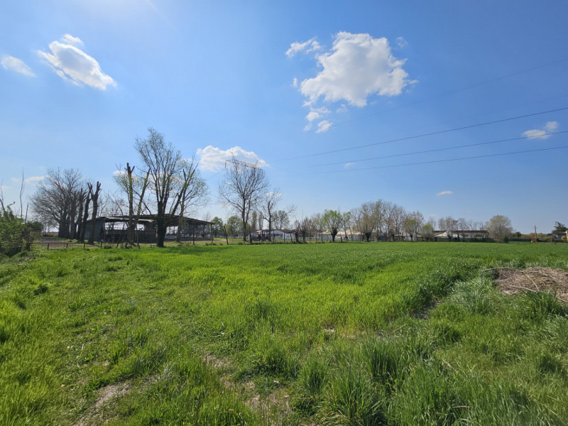 Proponiamo in vendita terreno agricolo di circa 7.990 mq situato nel comune di Ponso, frazione di...