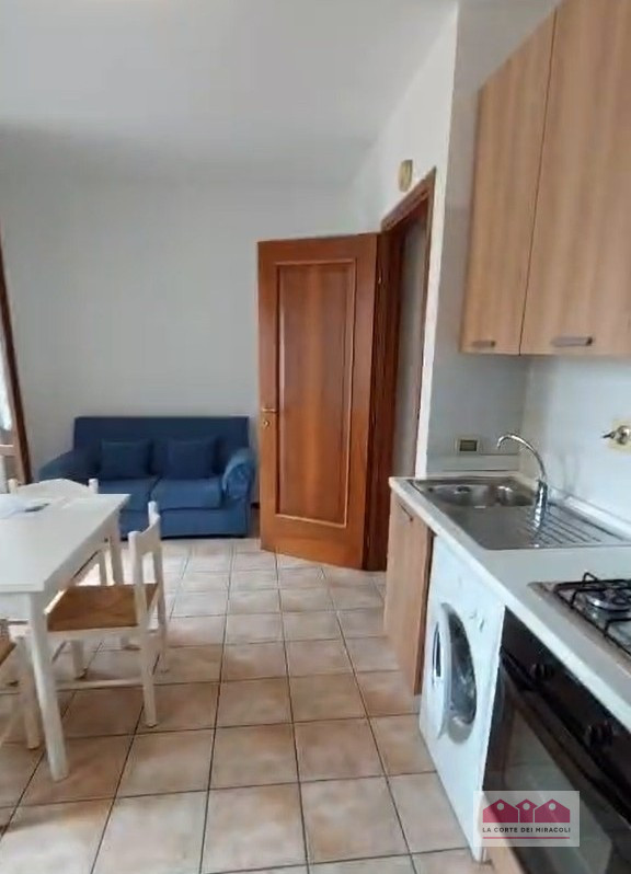 SAN BORTOLO: MINI SILENZIOSO ARREDATO, COMPOSTO DA SOGGIORNO CON ANGOLO COTTURA, BAGNO CON DOCCIA...