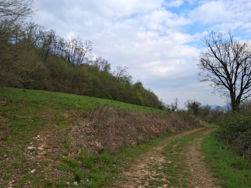 Perchè consigliamo l'acquisto di questo terreno? Per almeno questi cinque motivi: 
1. Spazio e pr...