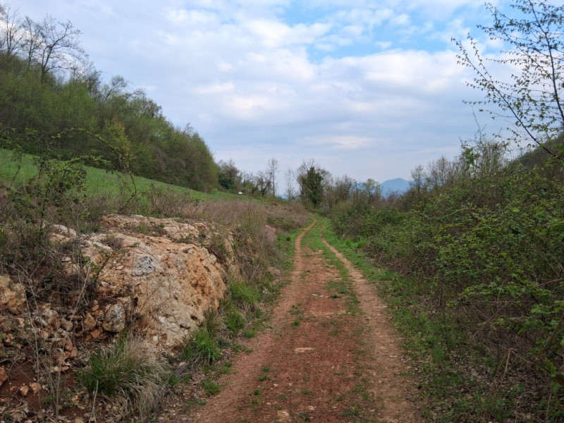 Perchè consigliamo l'acquisto di questo terreno? Per almeno questi cinque motivi: 
1. Spazio e pr...