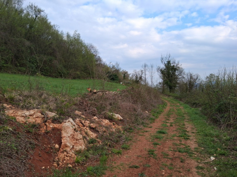 Perchè consigliamo l'acquisto di questo terreno? Per almeno questi cinque motivi: 
1. Spazio e pr...