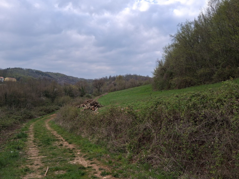 Perchè consigliamo l'acquisto di questo terreno? Per almeno questi cinque motivi: 
1. Spazio e pr...