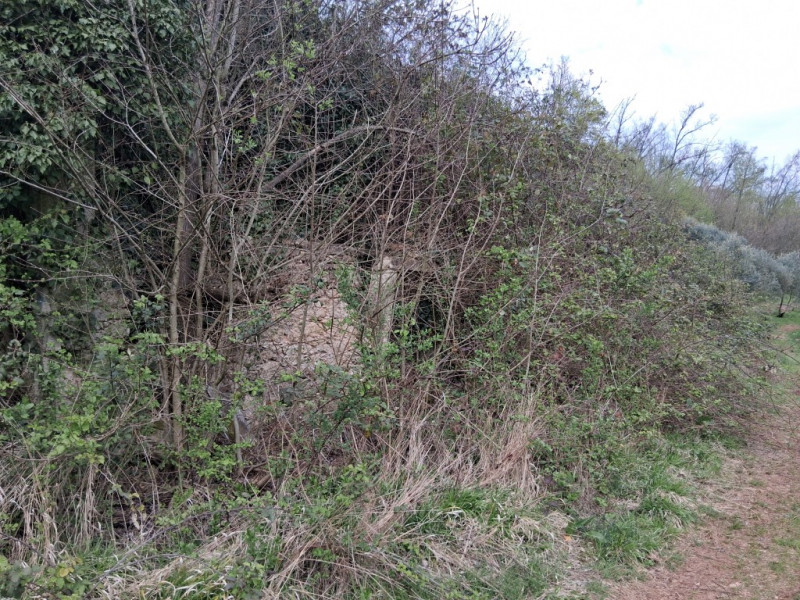 Perchè consigliamo l'acquisto di questo terreno? Per almeno questi cinque motivi: 
1. Spazio e pr...