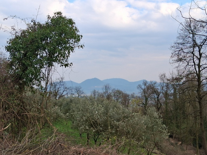 Perchè consigliamo l'acquisto di questo terreno? Per almeno questi cinque motivi: 
1. Spazio e pr...