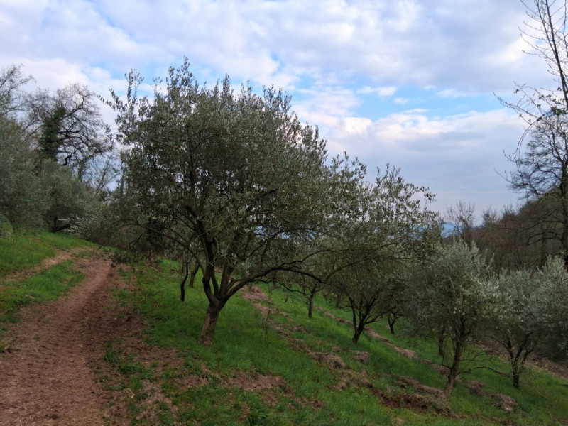 Perchè consigliamo l'acquisto di questo terreno? Per almeno questi cinque motivi: 
1. Spazio e pr...