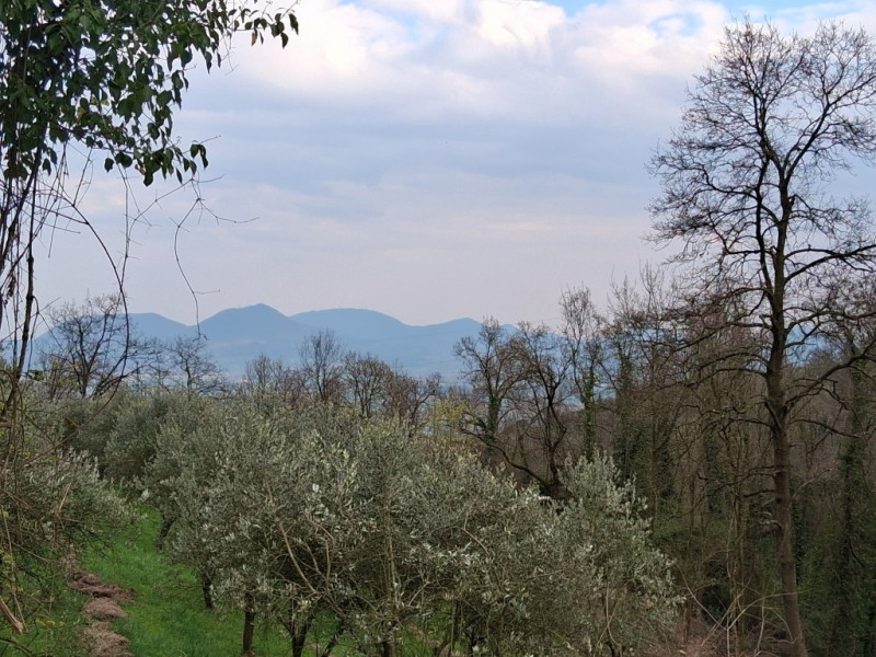 Perchè consigliamo l'acquisto di questo terreno? Per almeno questi cinque motivi: 
1. Spazio e pr...